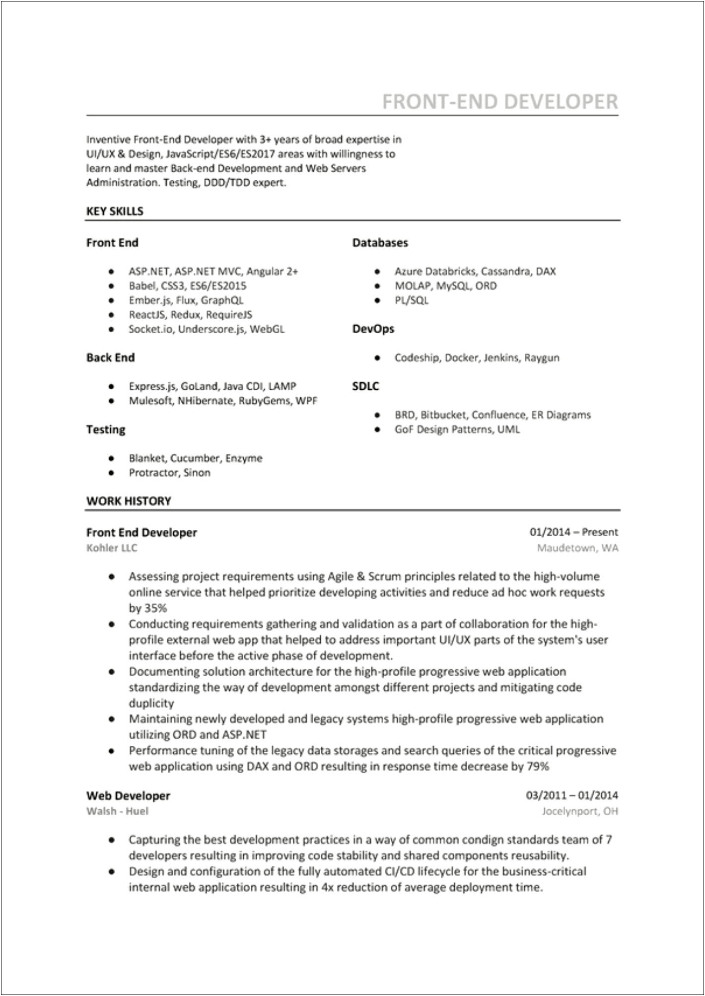 Mid Level Web Developer Resume Summary