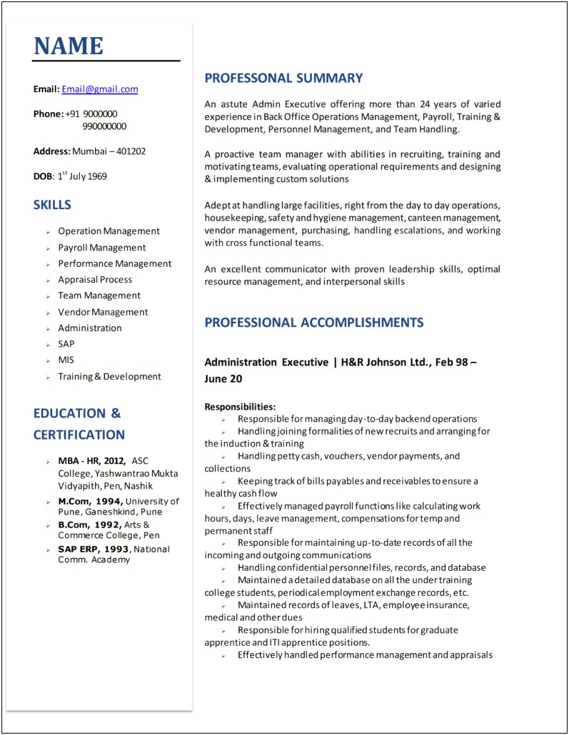 Mis Executive Resume Format In Word Download
