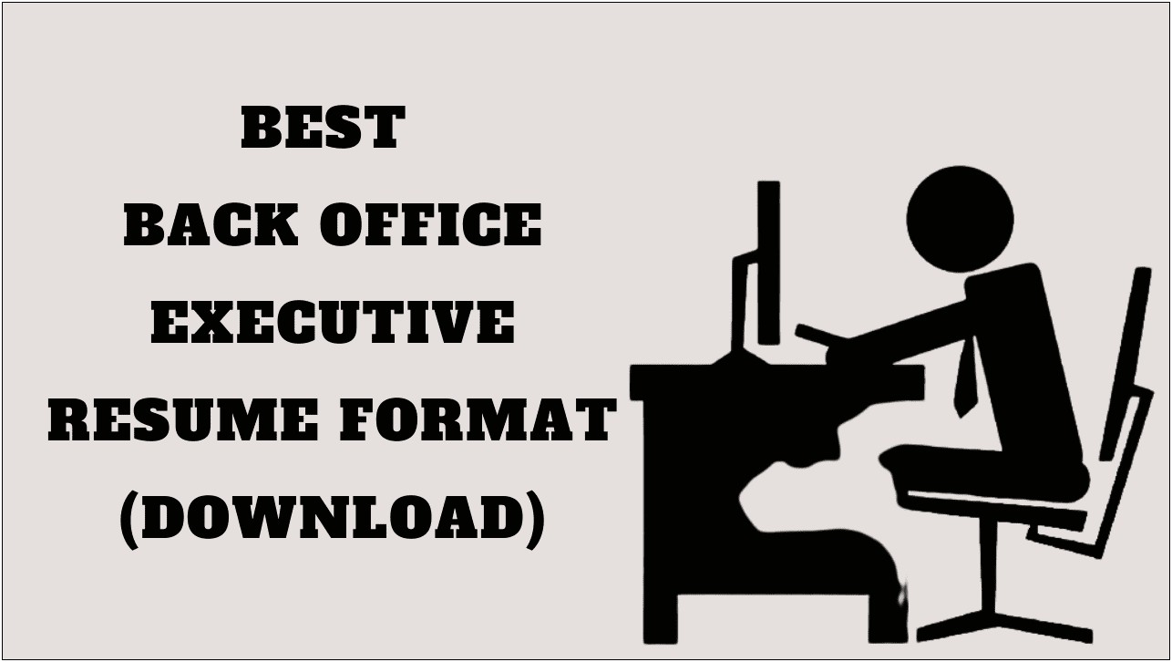 Mis Executive Resume Format In Word