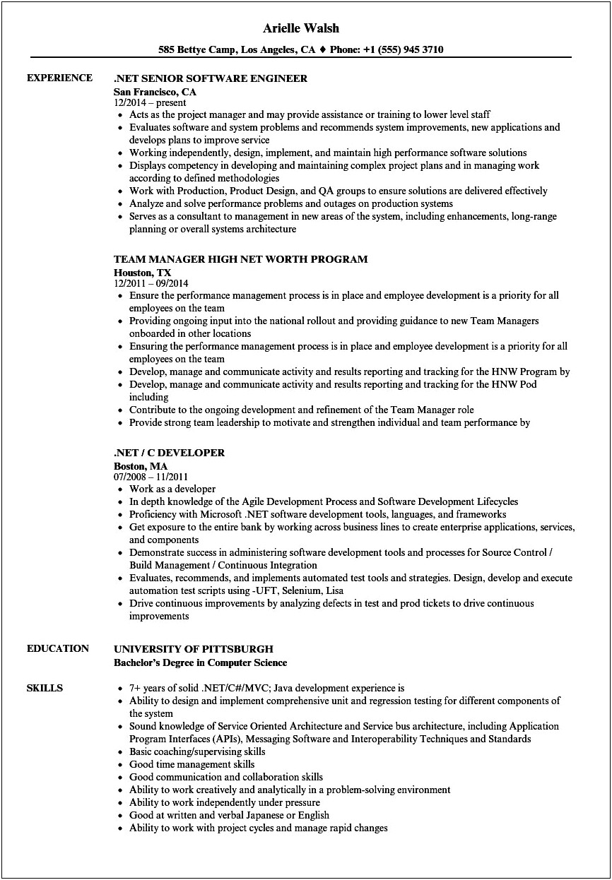 Net Experience Resume With Financial Background