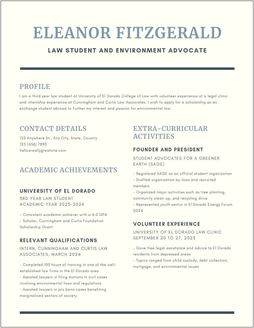 Nice Clean Lines To Put In A Resume