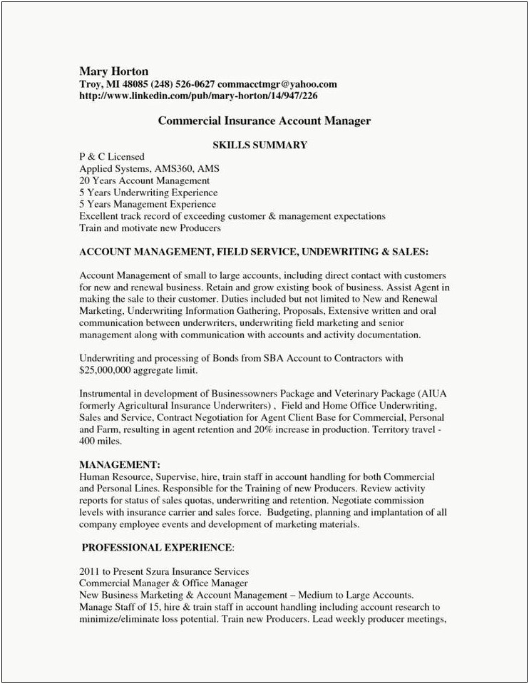 No Experience Manager Resume With Accounting Experience
