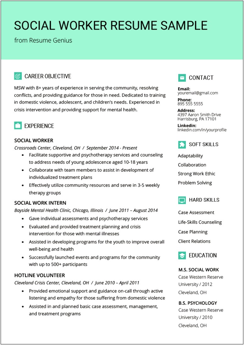 Non Profit Resume Objective Statement Examples