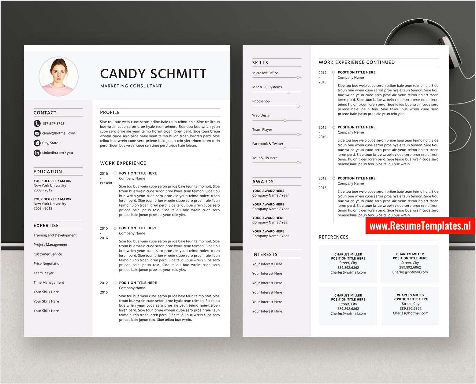 Normal Resume Format In Word Download