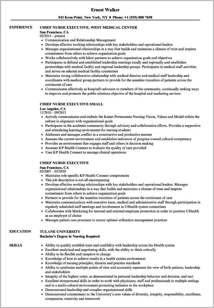 Nurse Executive Leader Professional Summary For Resume