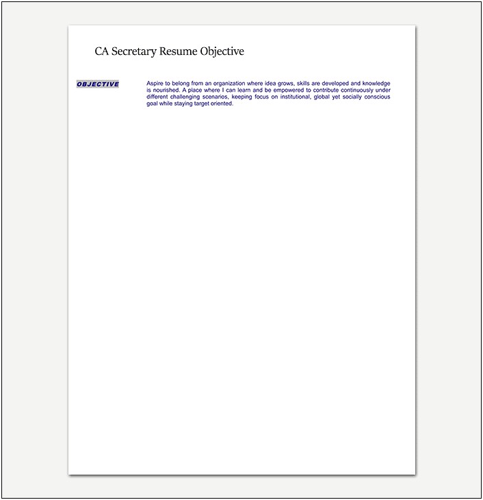 Objective On A Resume For A Ctae Secretary