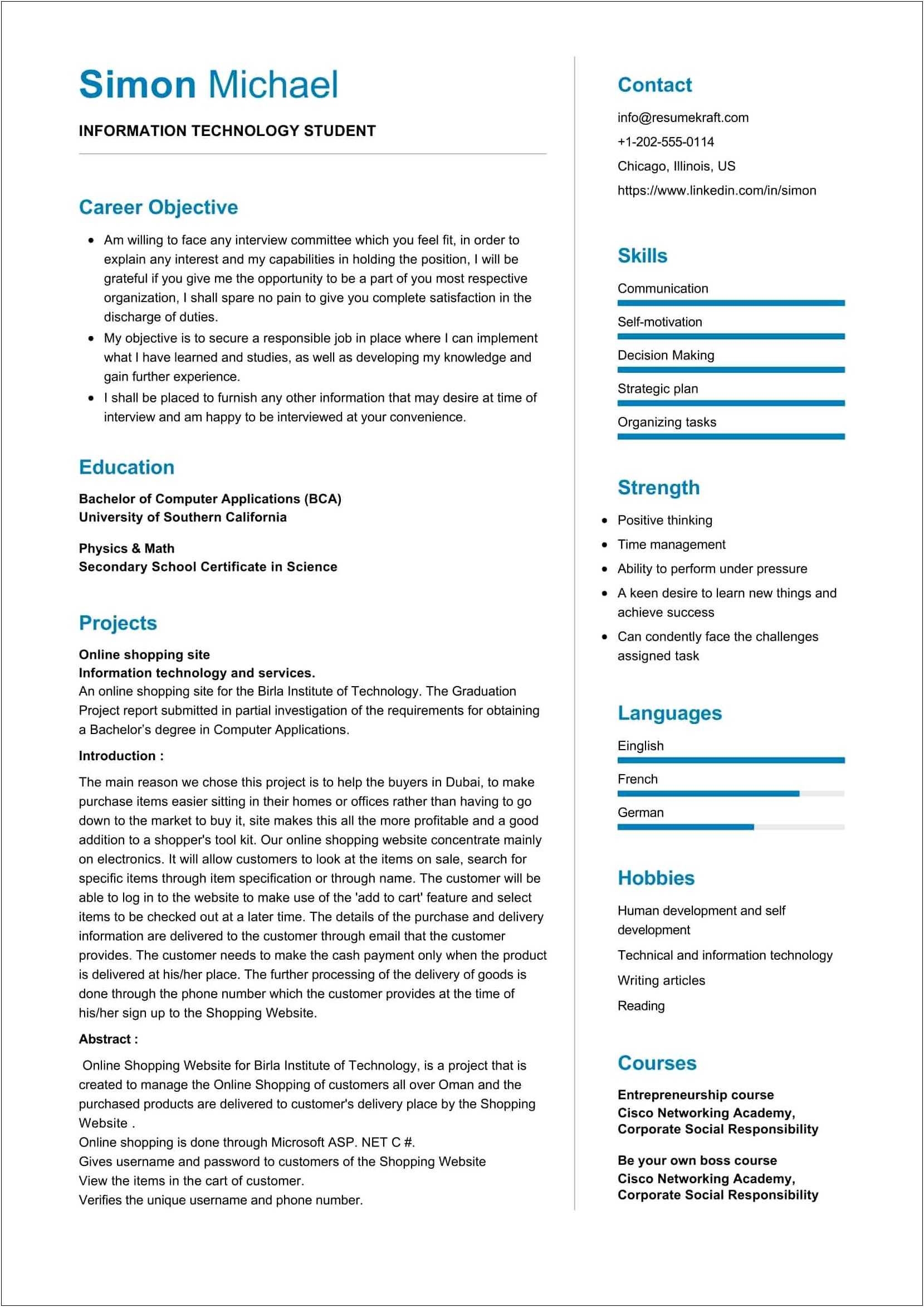 Objective Or Profile Resume Samples For Information Technology