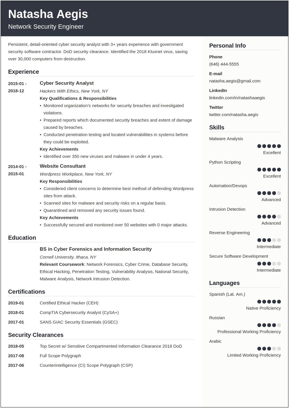 Objectives For Resume For Information Security Analyst
