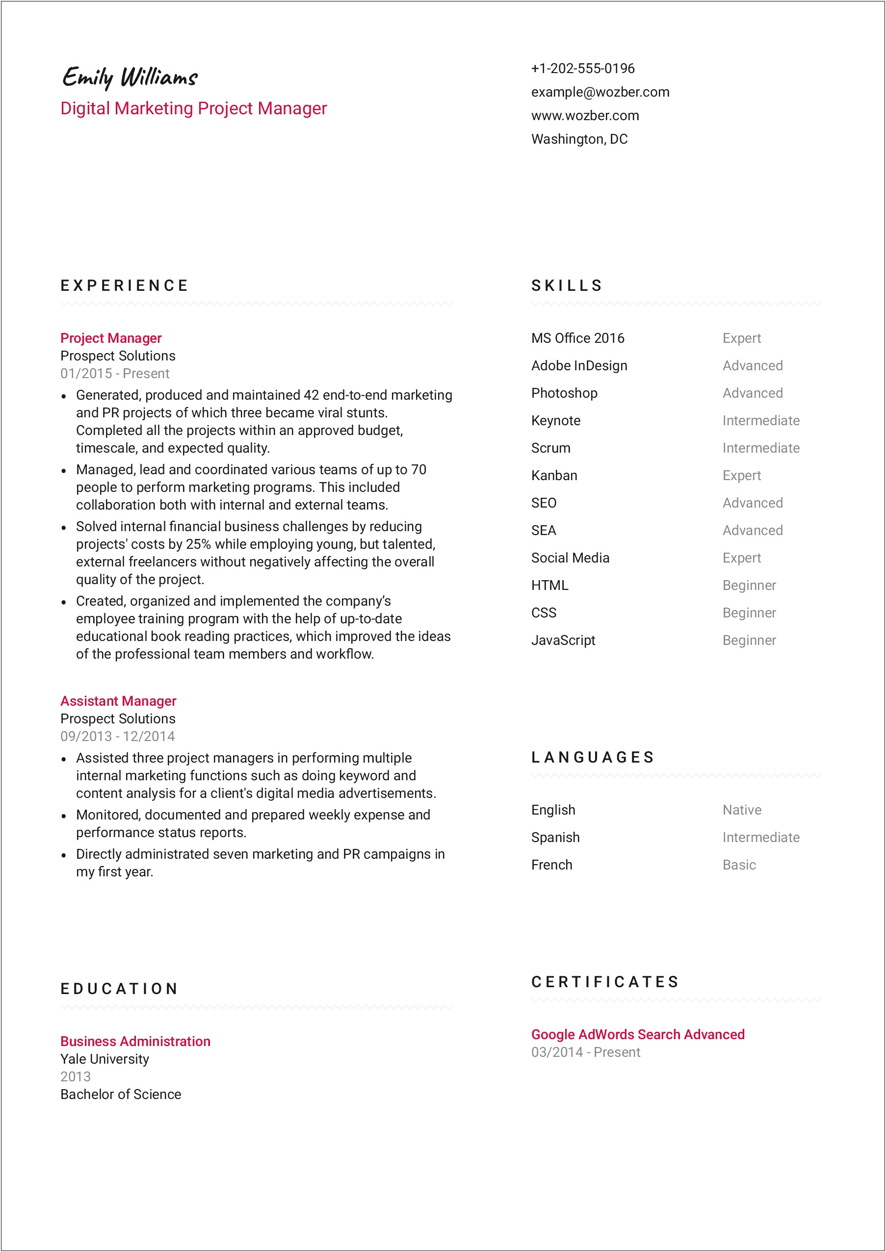 Online Resume Format For Job In Usa