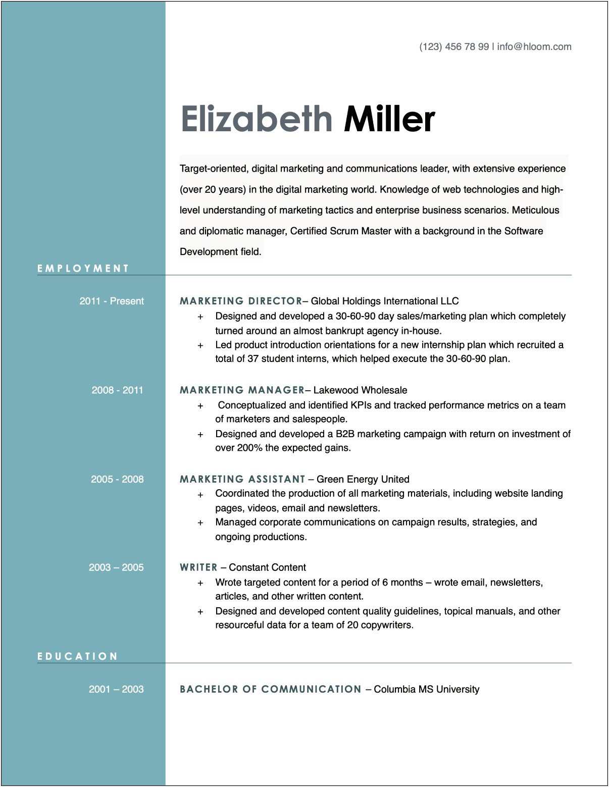 Open Office Clean Looking Resume Template