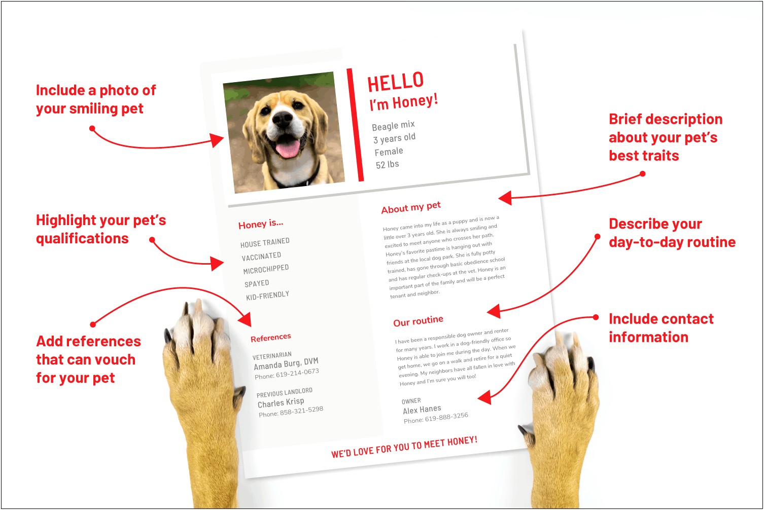 Owner Dog Walker Job Description For Resume