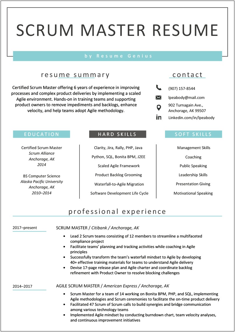 Perfect Resume Example 2017 For Beginners