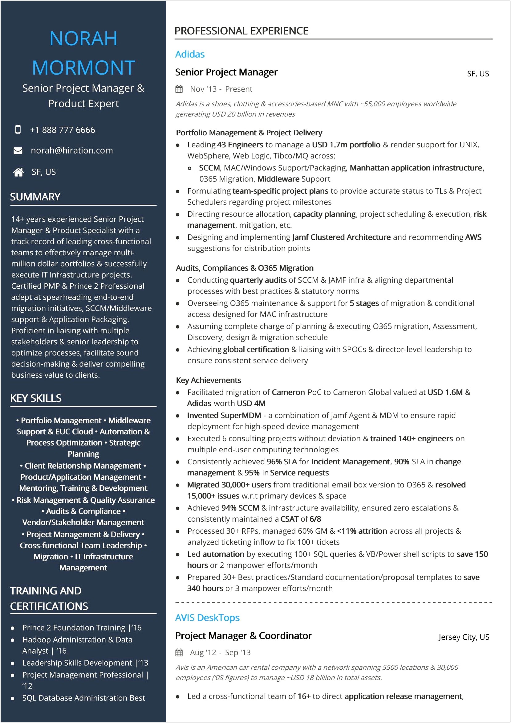 Portfolio Project Manager Job Description Resume