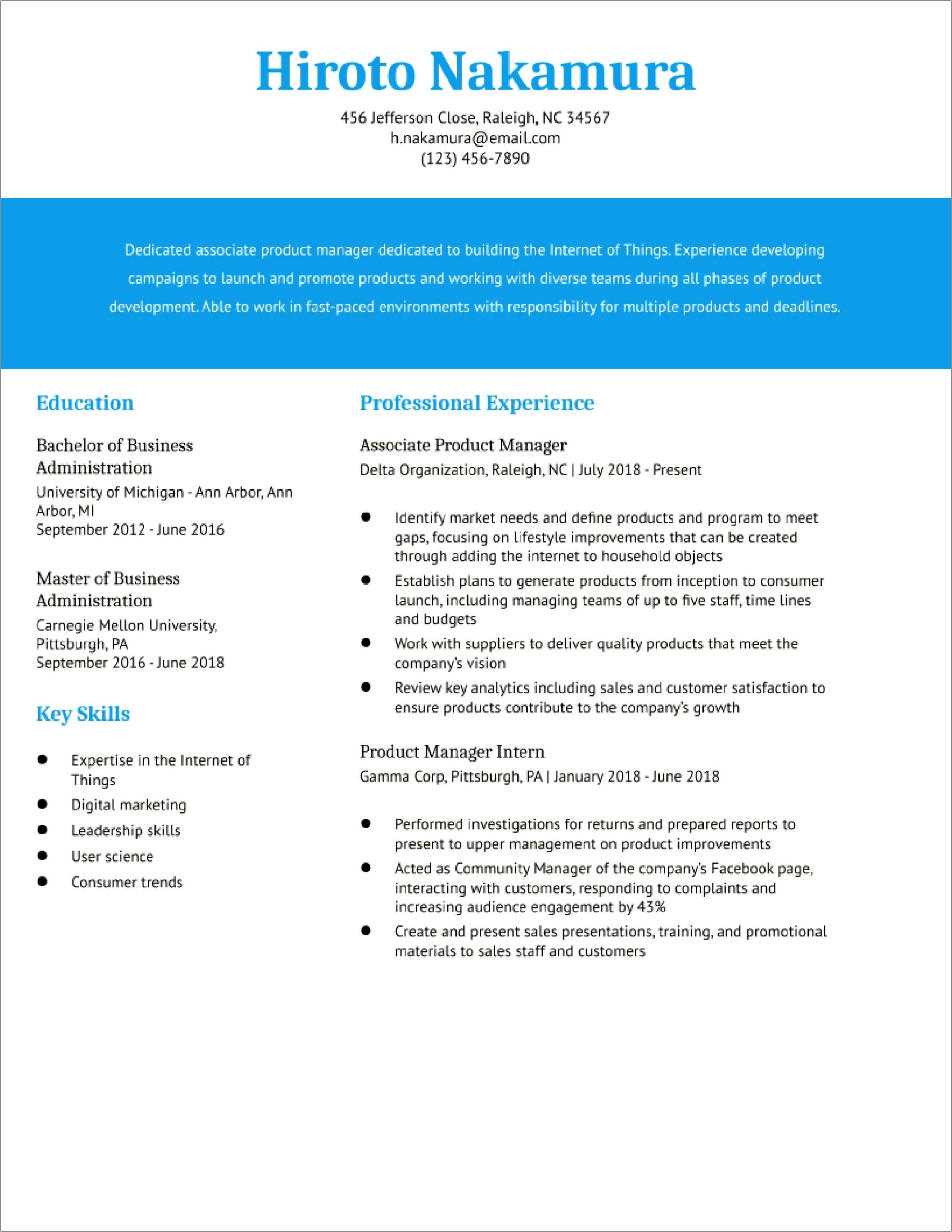Product Manager Work Experience Examples For Resume