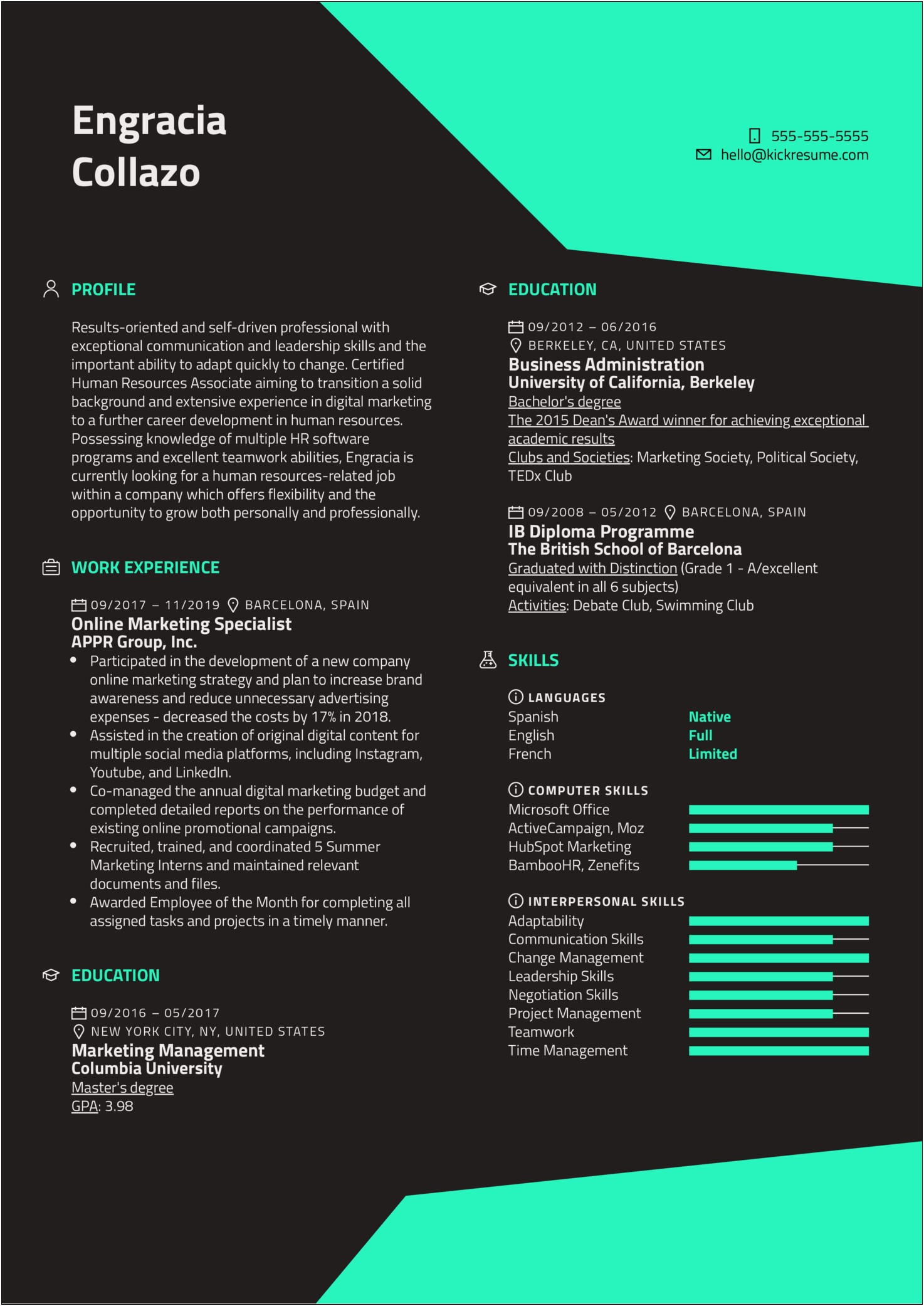Professional Job Skills Resume Examples Manager