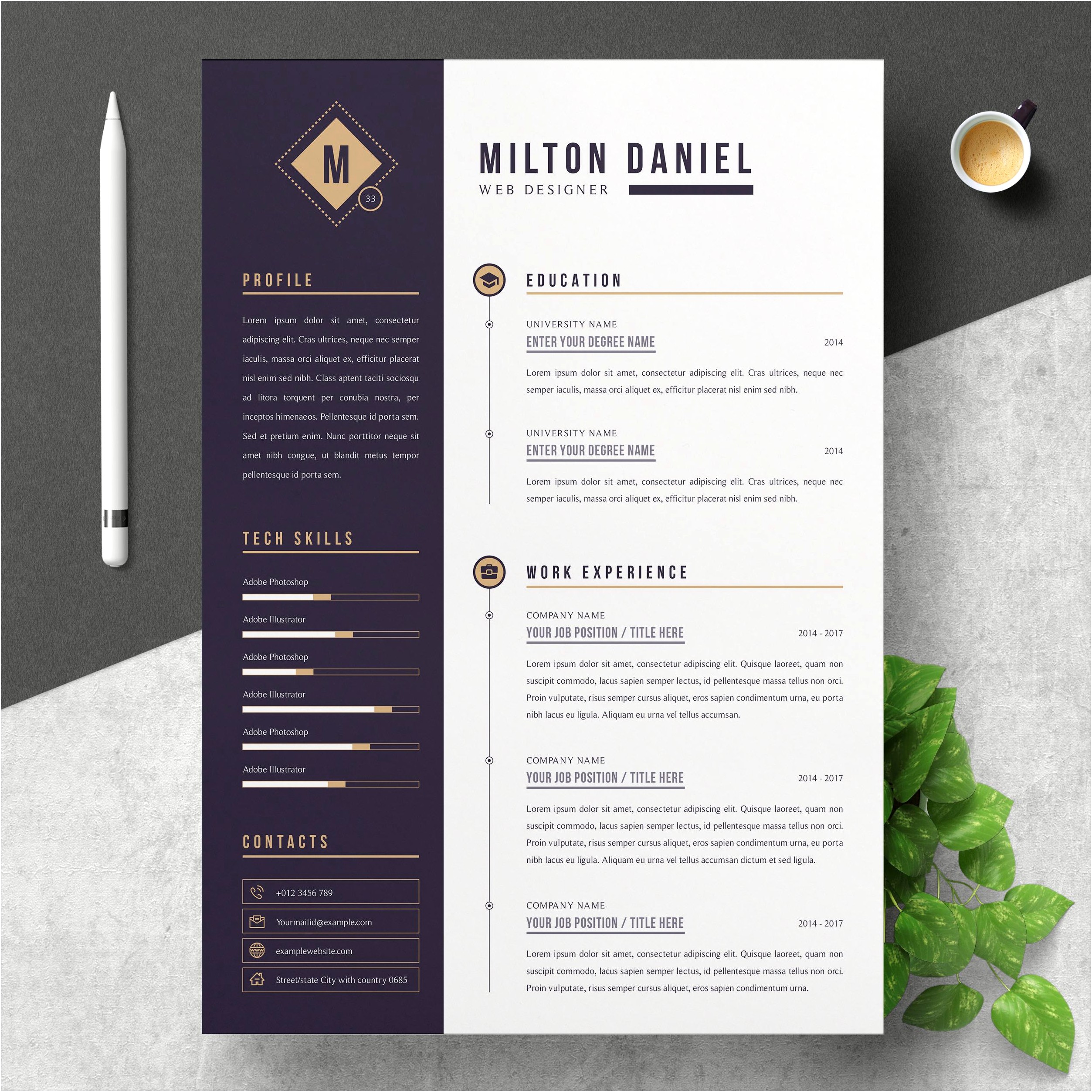 Professional Modern Downloadable Resume Template Free