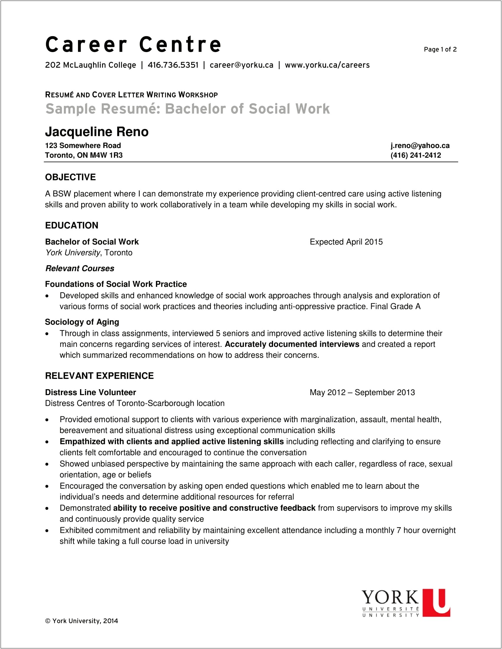 Professional Resume Examples For Social Workers