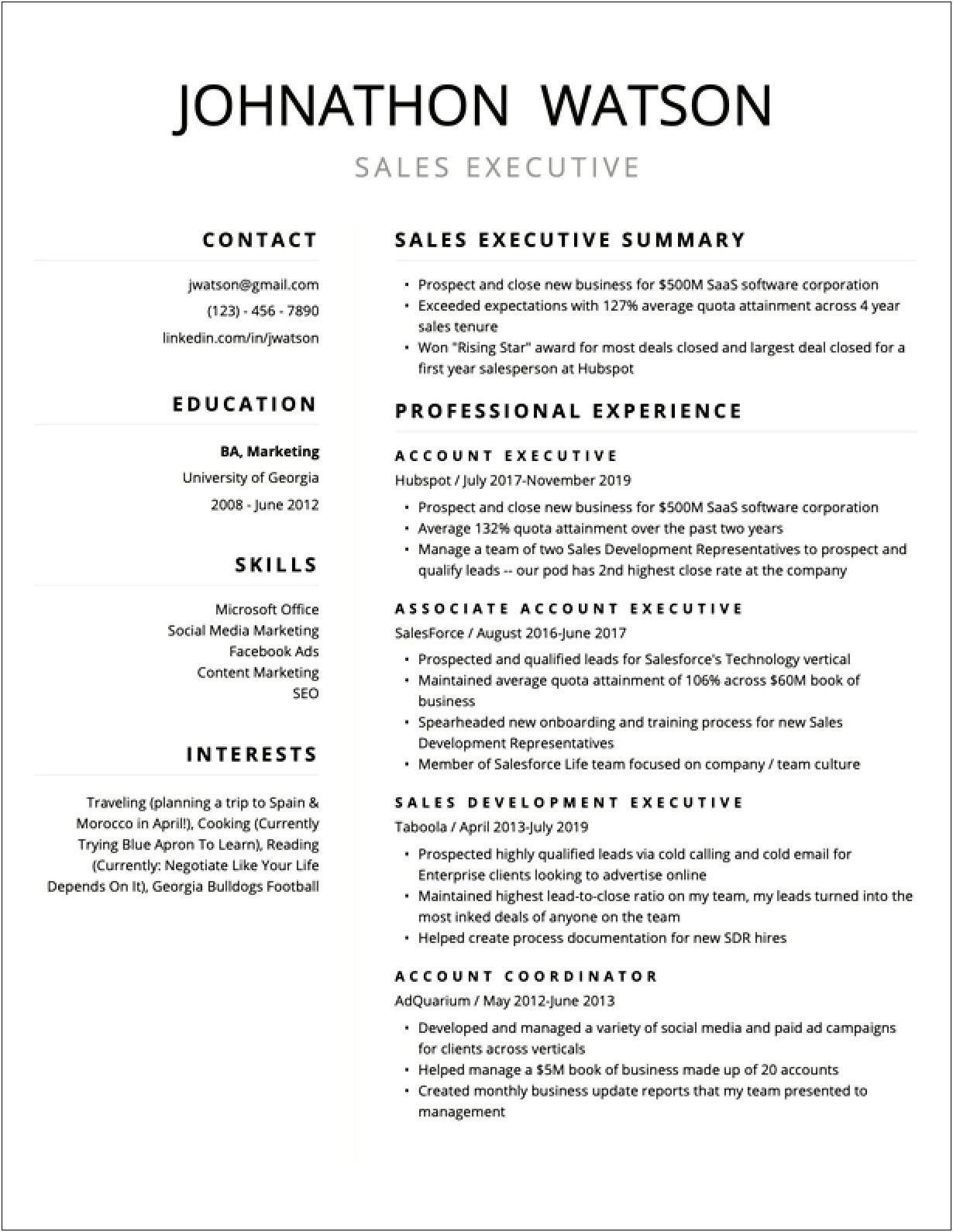 Professional Resume For One Year Of Work