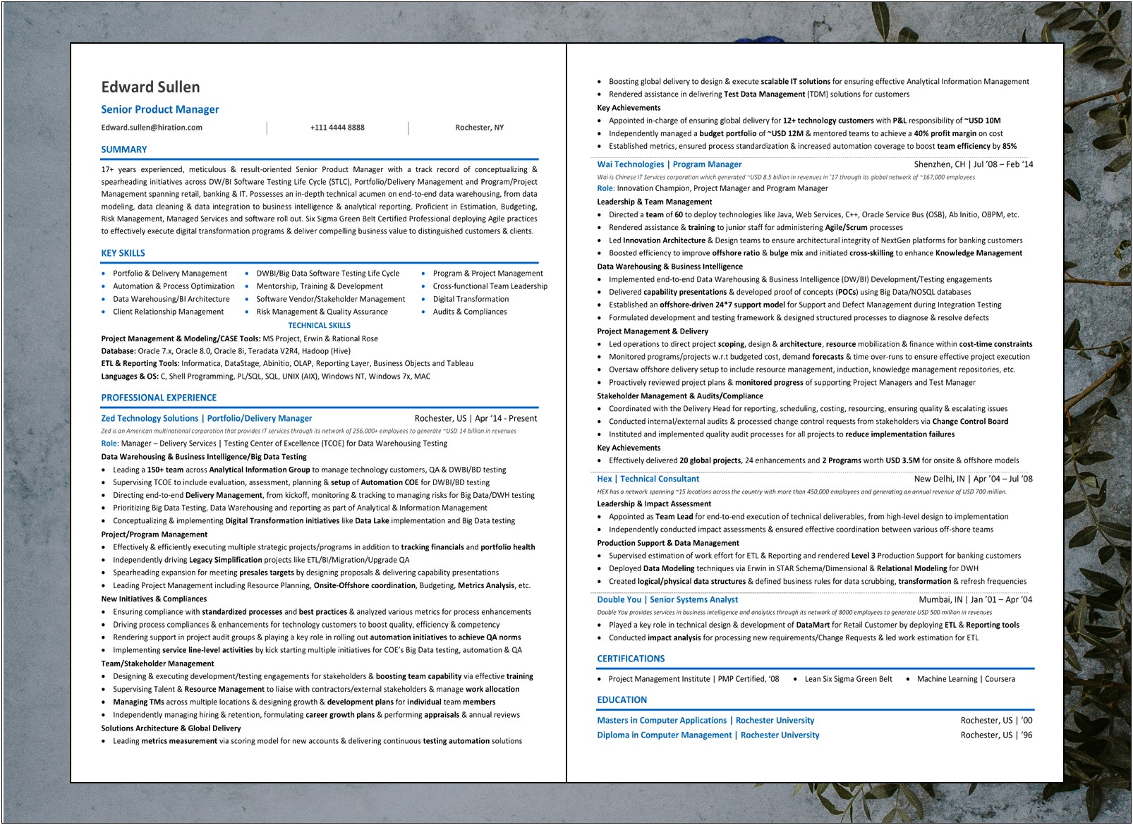 Professional Resume For Product And Project Management