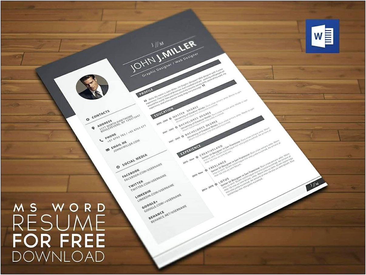 Professional Resume Format In Word File