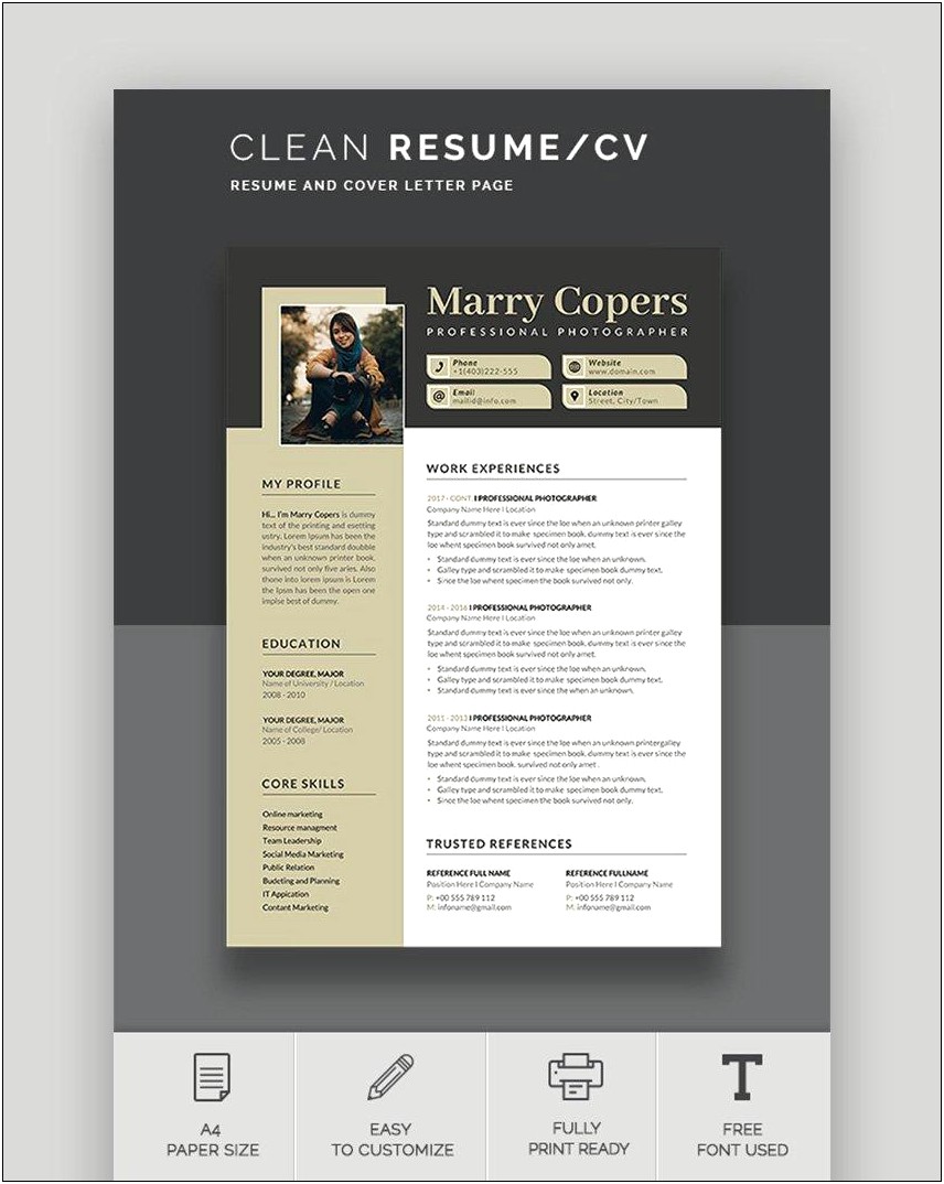 Professional Resume Template 2017 Free Download