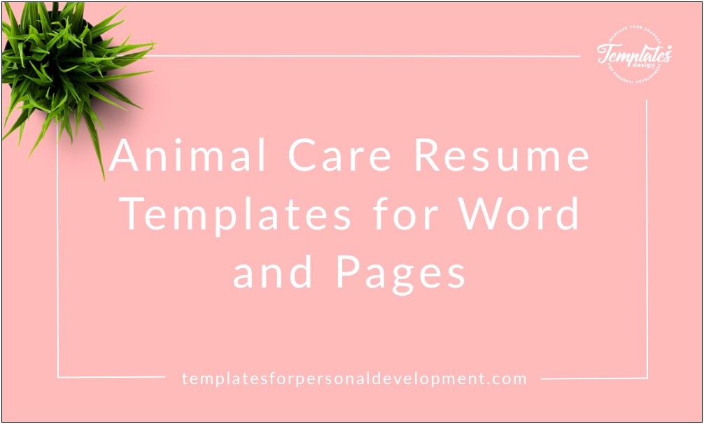 Professional Resume Template For Animal Care