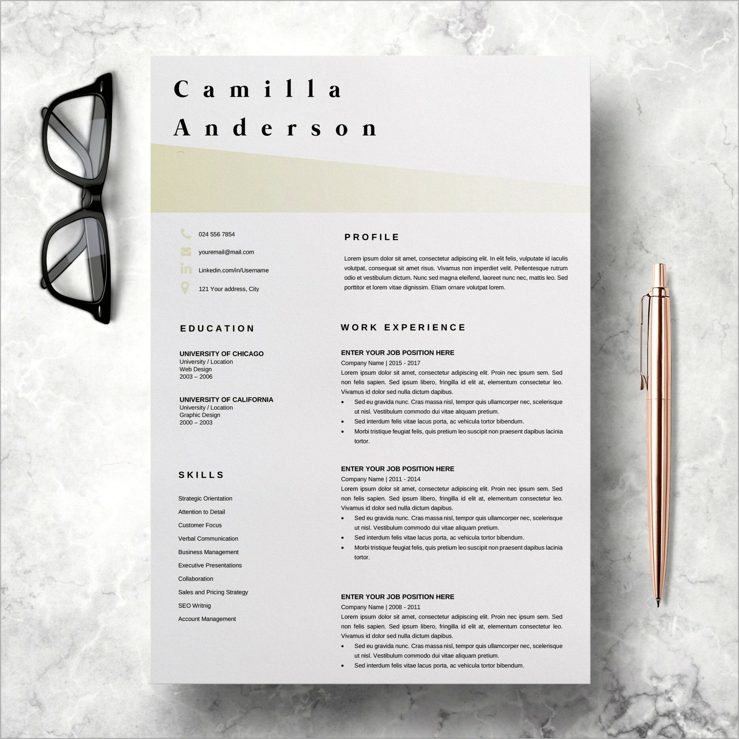 Professional Resume Template For Microsfot Word