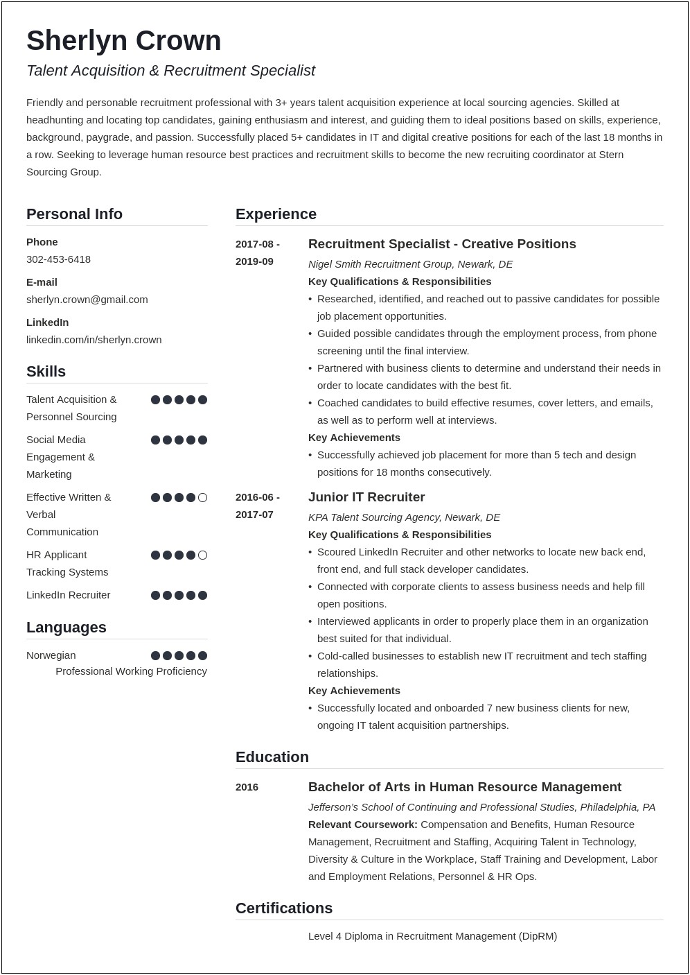 Professional Resume Template For Recruitment Consultant