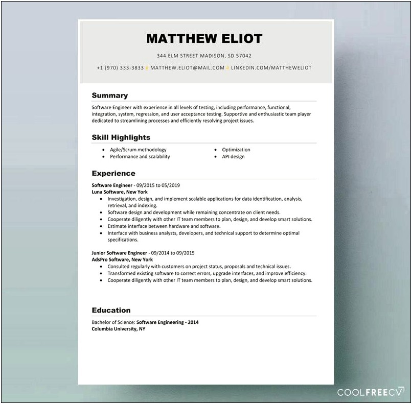 Professional Resume Templates Free To Download