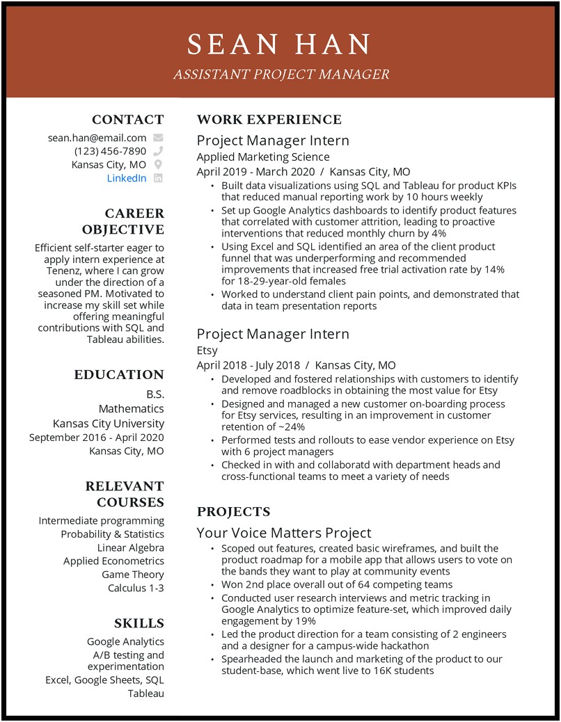 Professional Summary Project Manager Example Resume