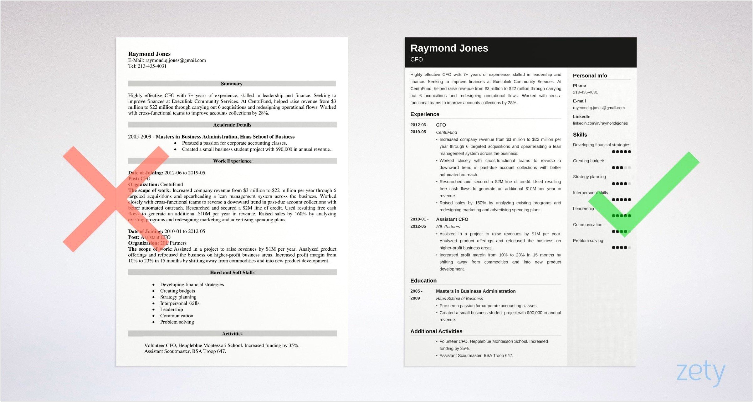 Professional Summary Resume Example For Financial Officer