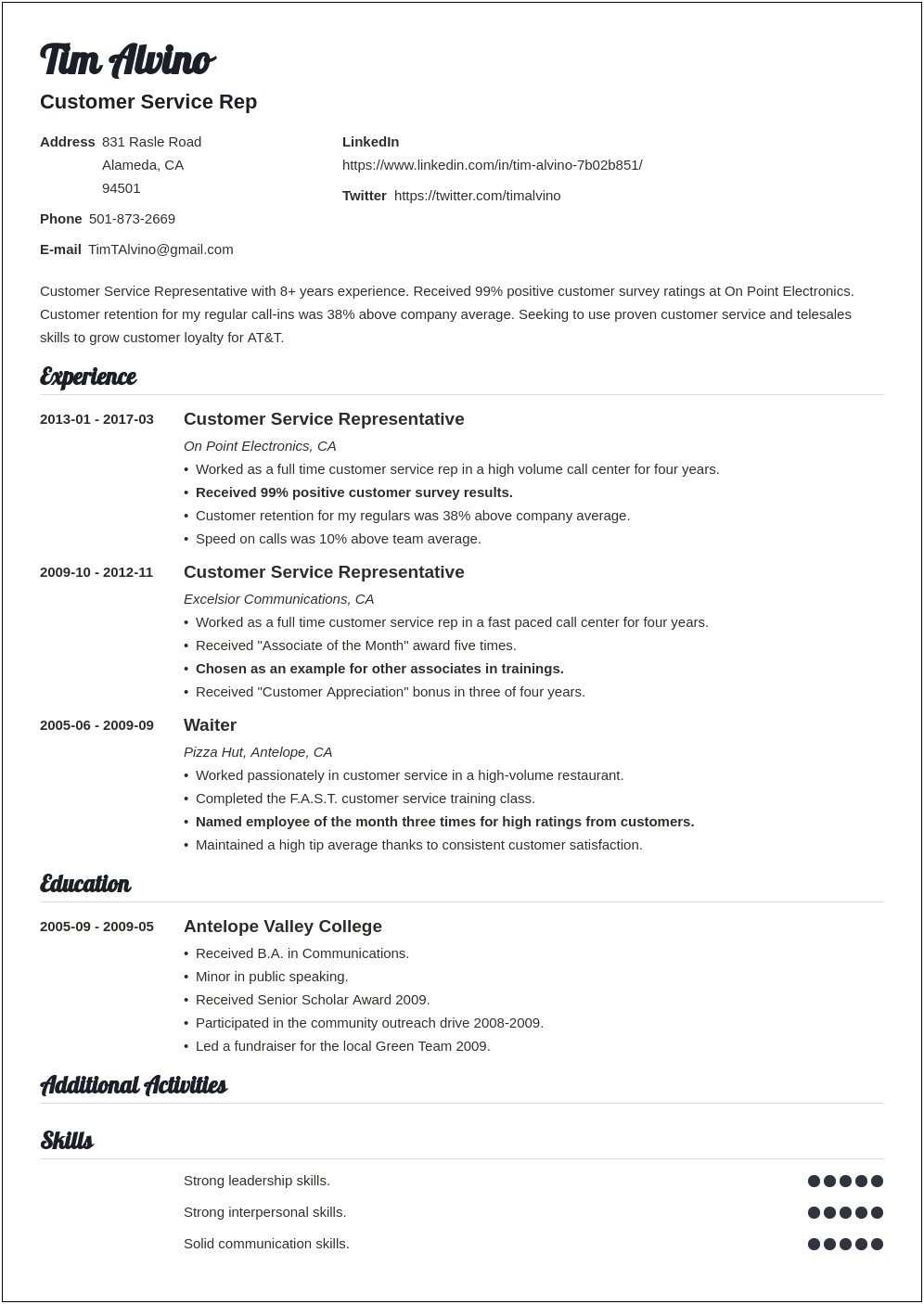 Professional Summary Resume Sample For Customer Service