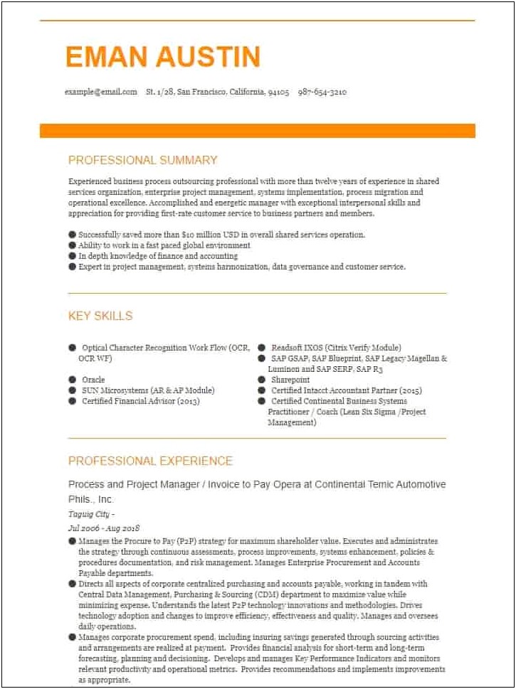 Professional Summary Resume Sample For Finance