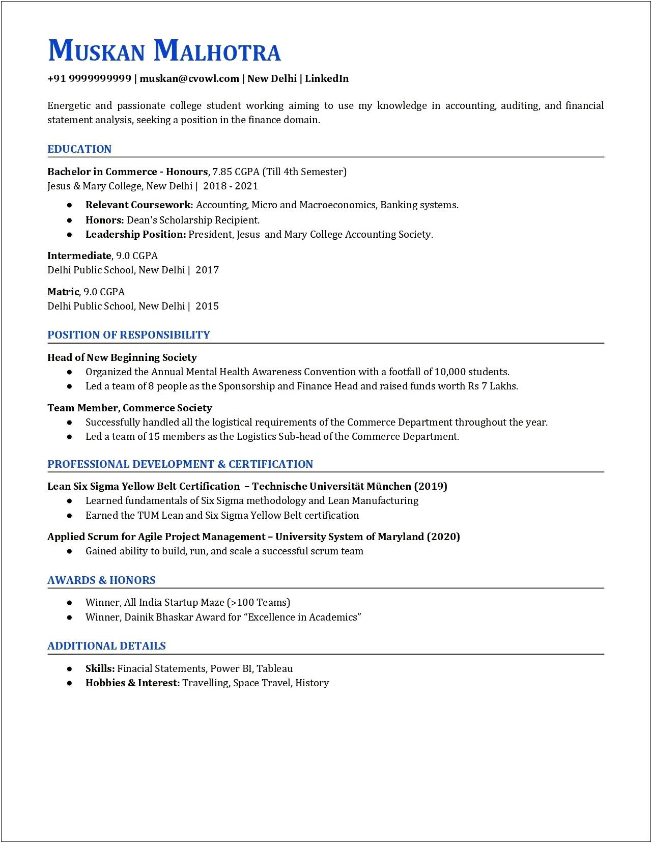 Profile Resume Examples For Accounting Internships