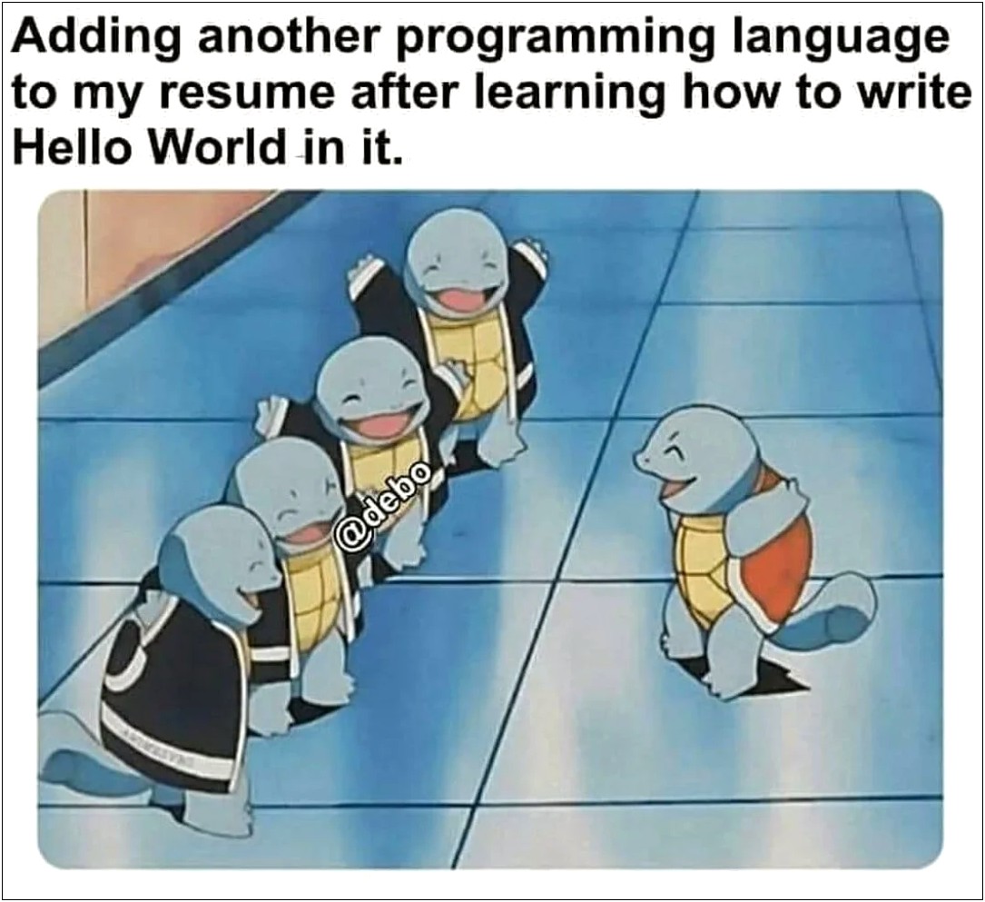 Programming Languages Not To Put On Resume