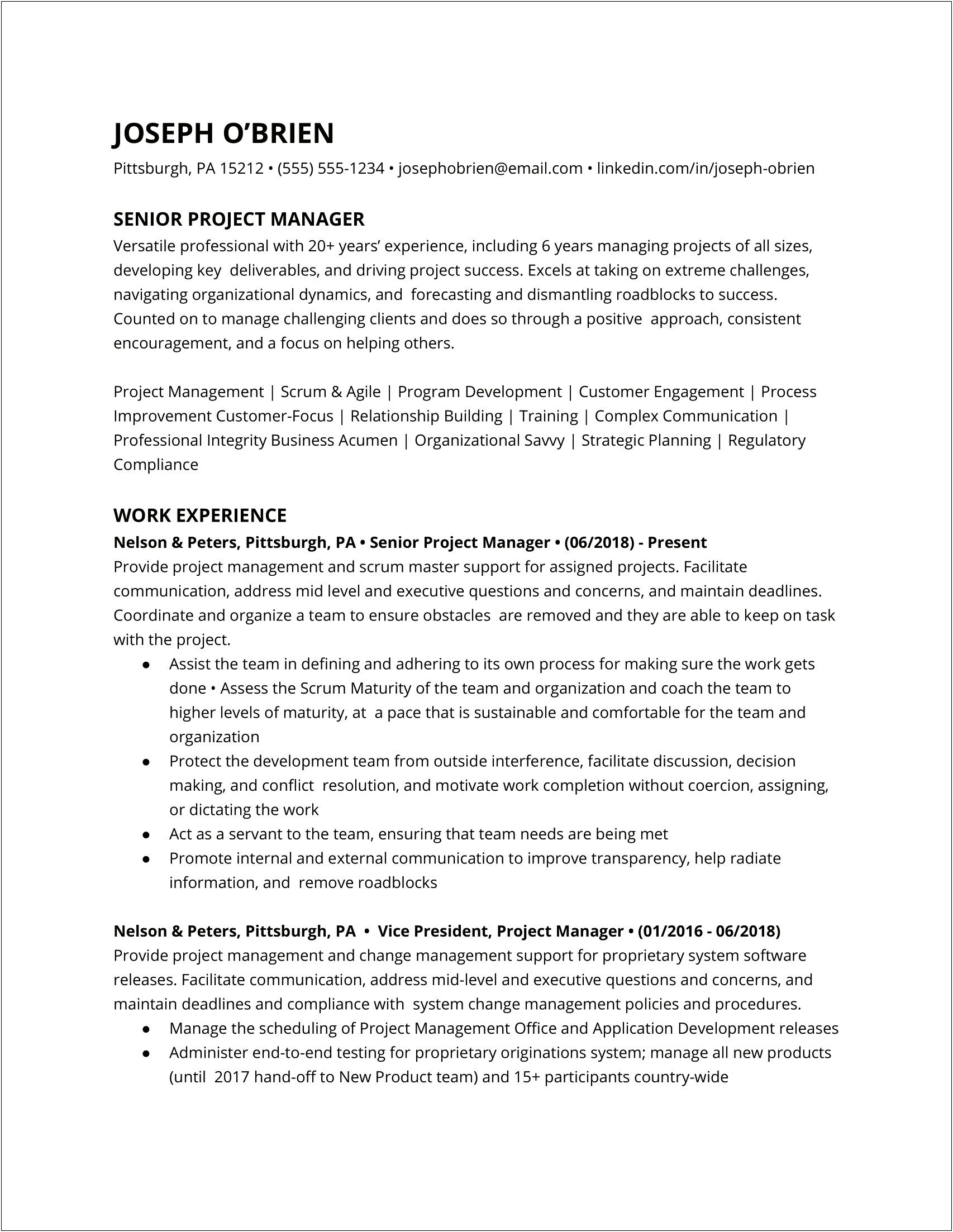 Project Management Based Contractor Resume Example