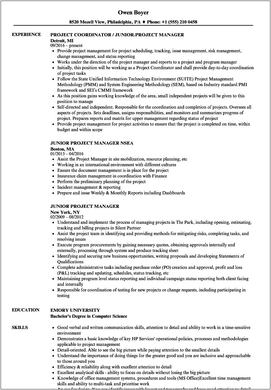 Project Manager For Insurance Company Resume