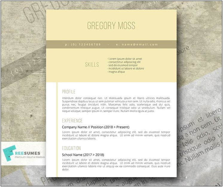 Ready To Fill In Resume Templates