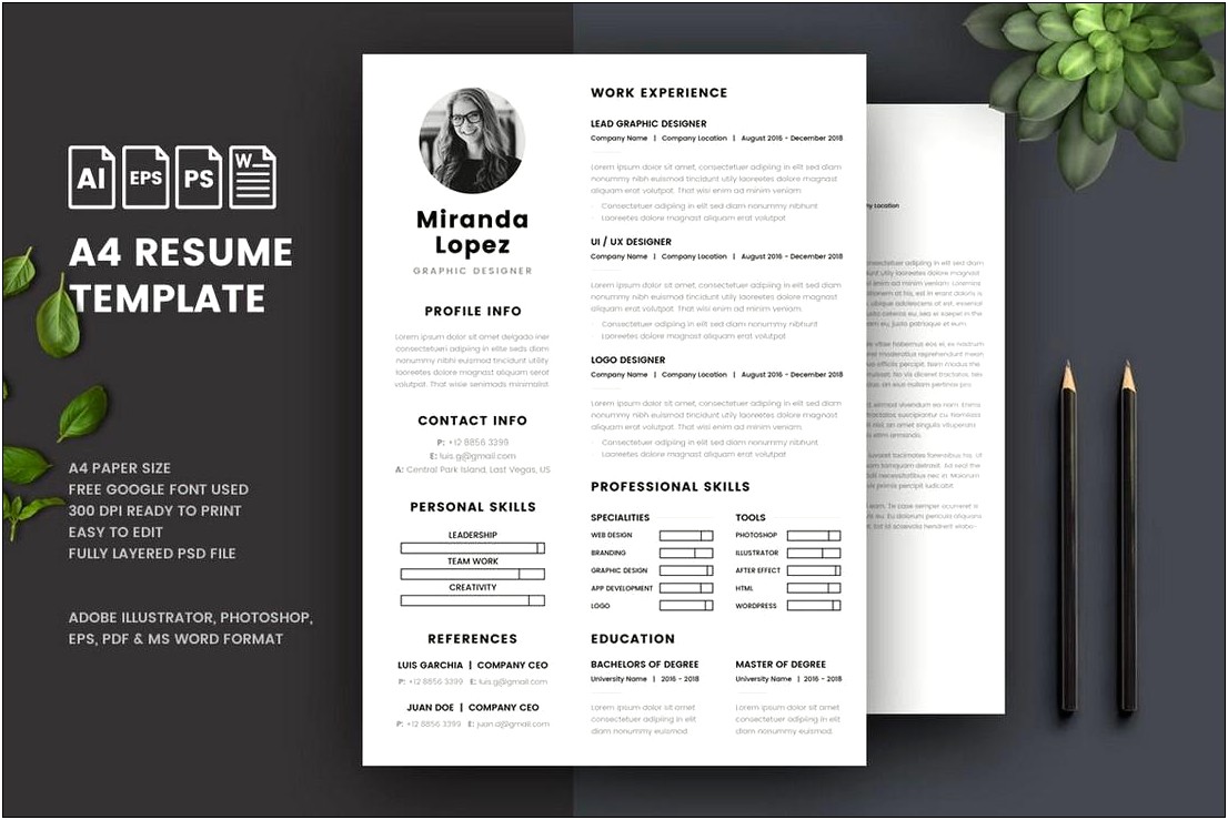 Resume Cover Letter Examples Microsoft Word