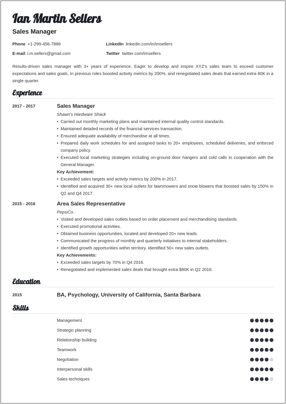 Resume Description For It Sales Manager