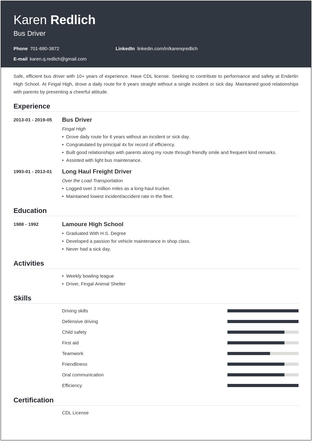 Resume Entry For School Bus Driver