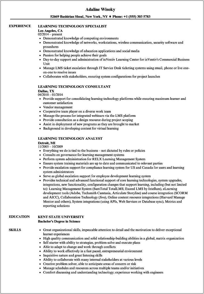 Resume Examples For Tech Savvy Person