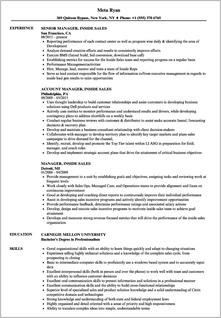 Resume Examples High Level Sales Executive