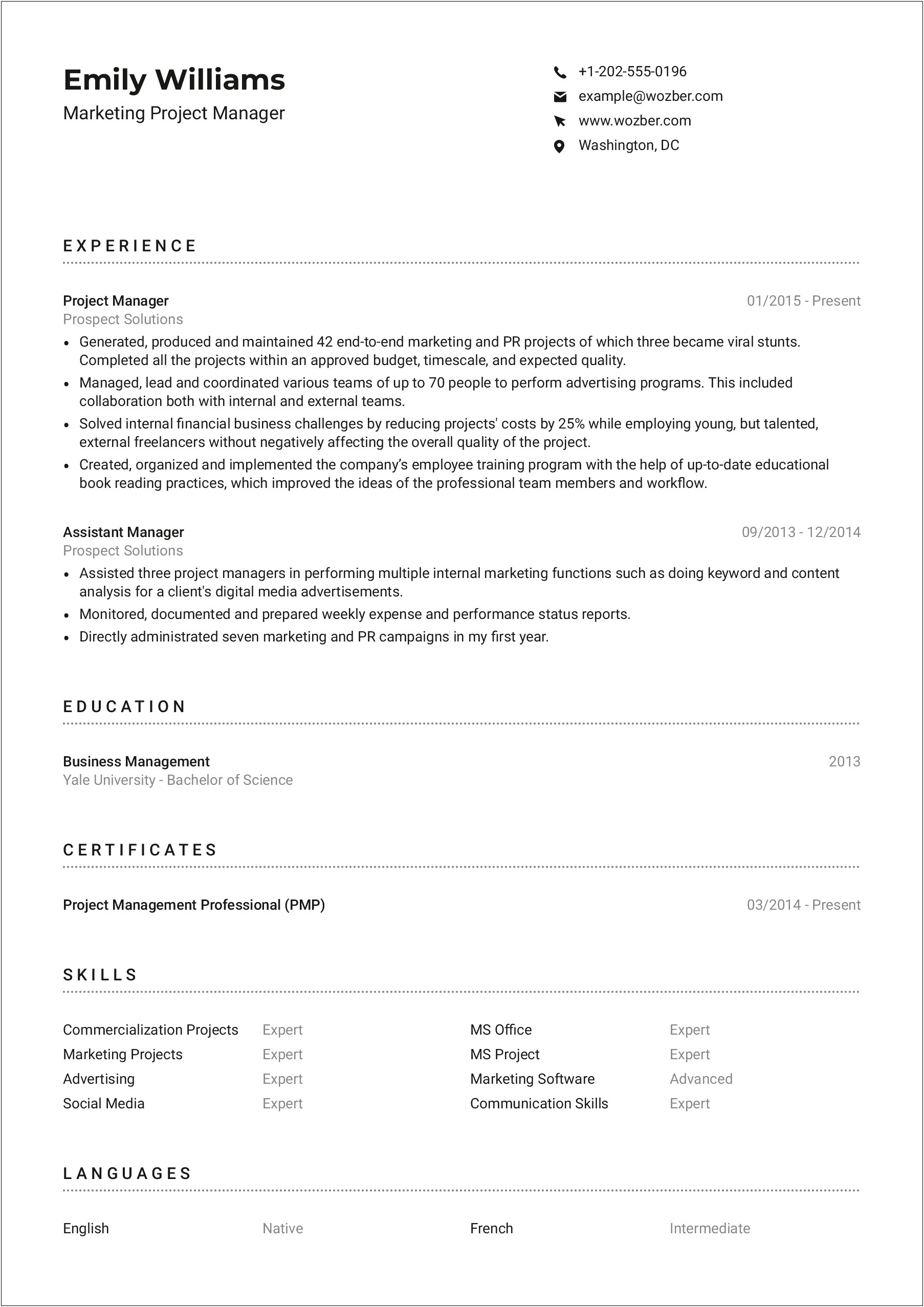 Resume Examples Project Manager Digital Marketing