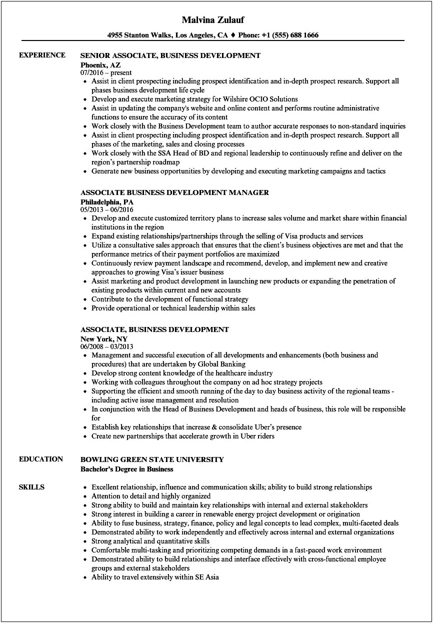 Resume For Ecommerce Business Development Manager