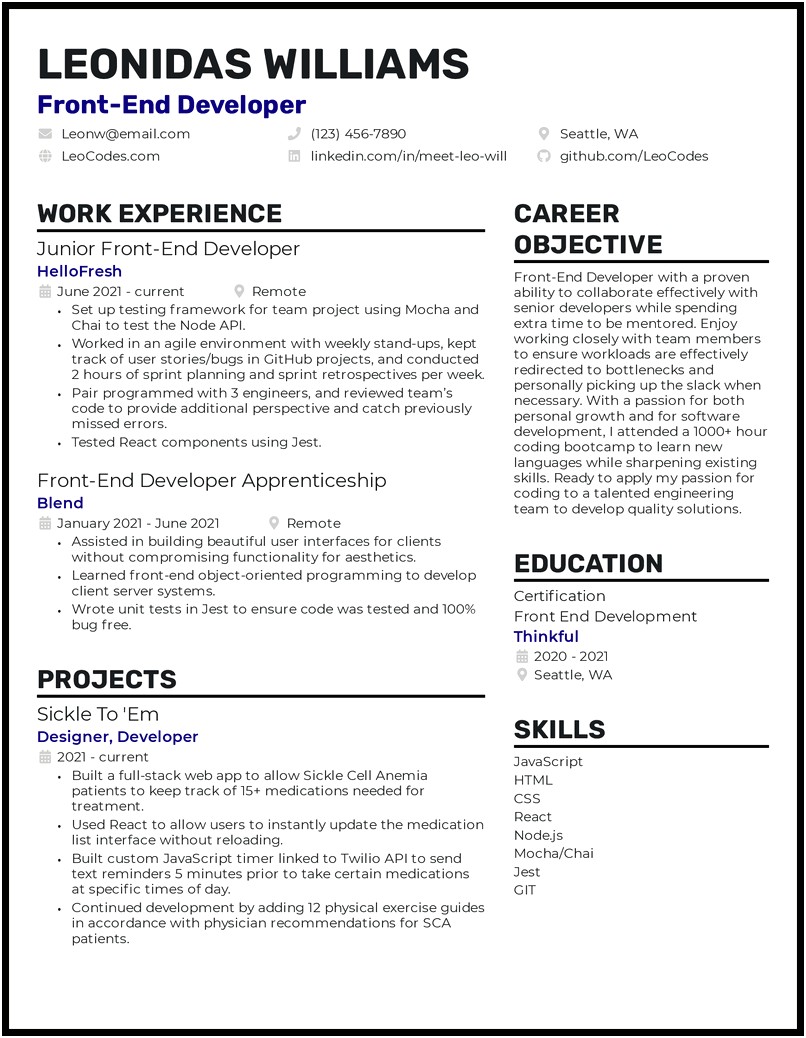 Resume For Entry Level Job For User Interface