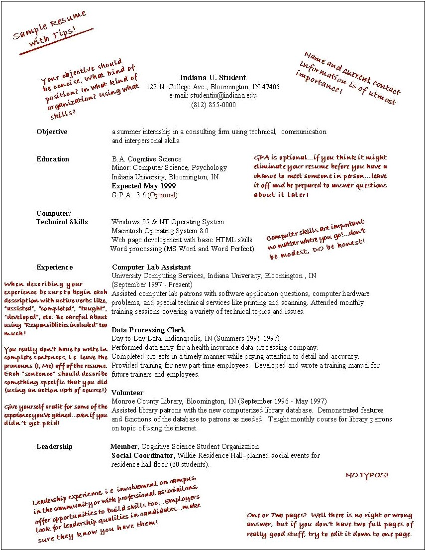 Resume For First Job High School Student Sample