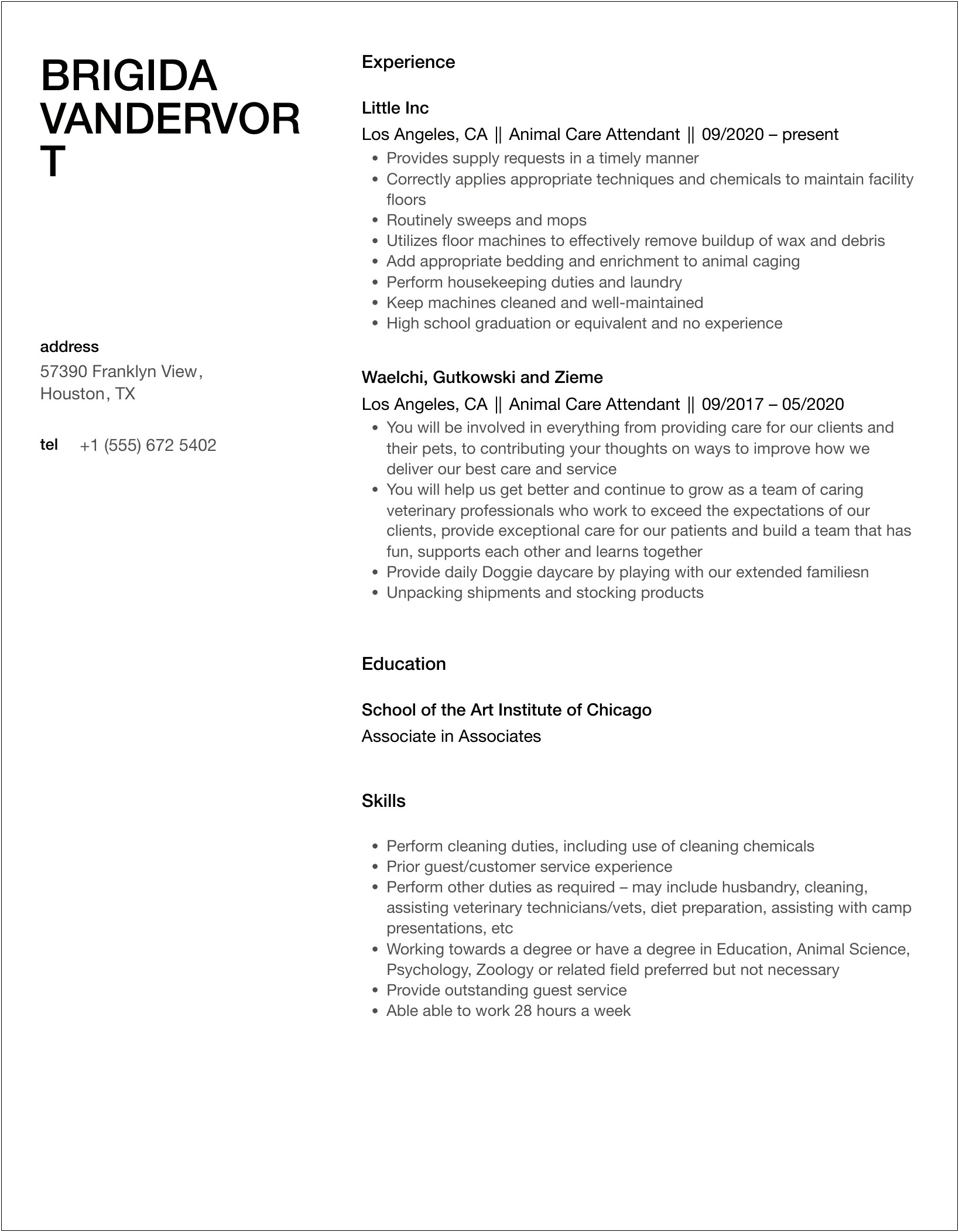 Resume For Kennel Technician First Time Job
