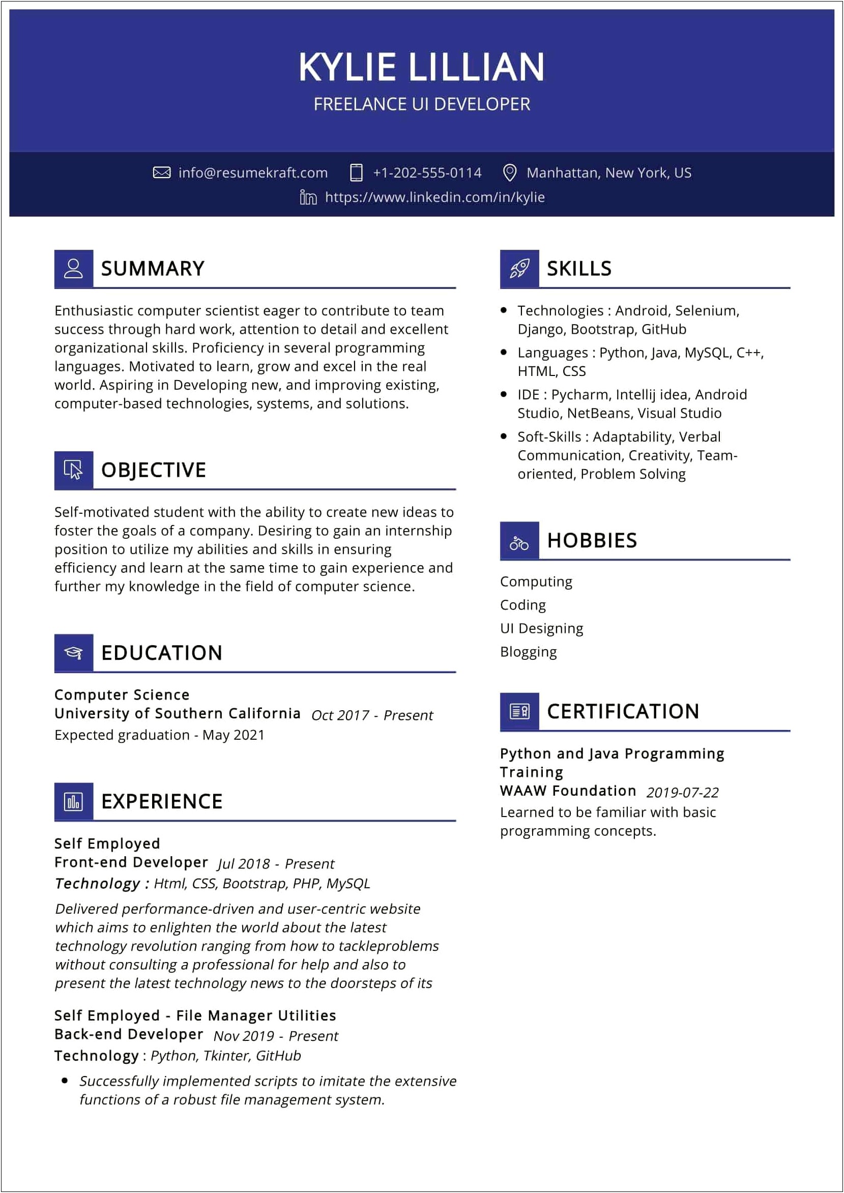 Resume For Someone With Freelance Experience