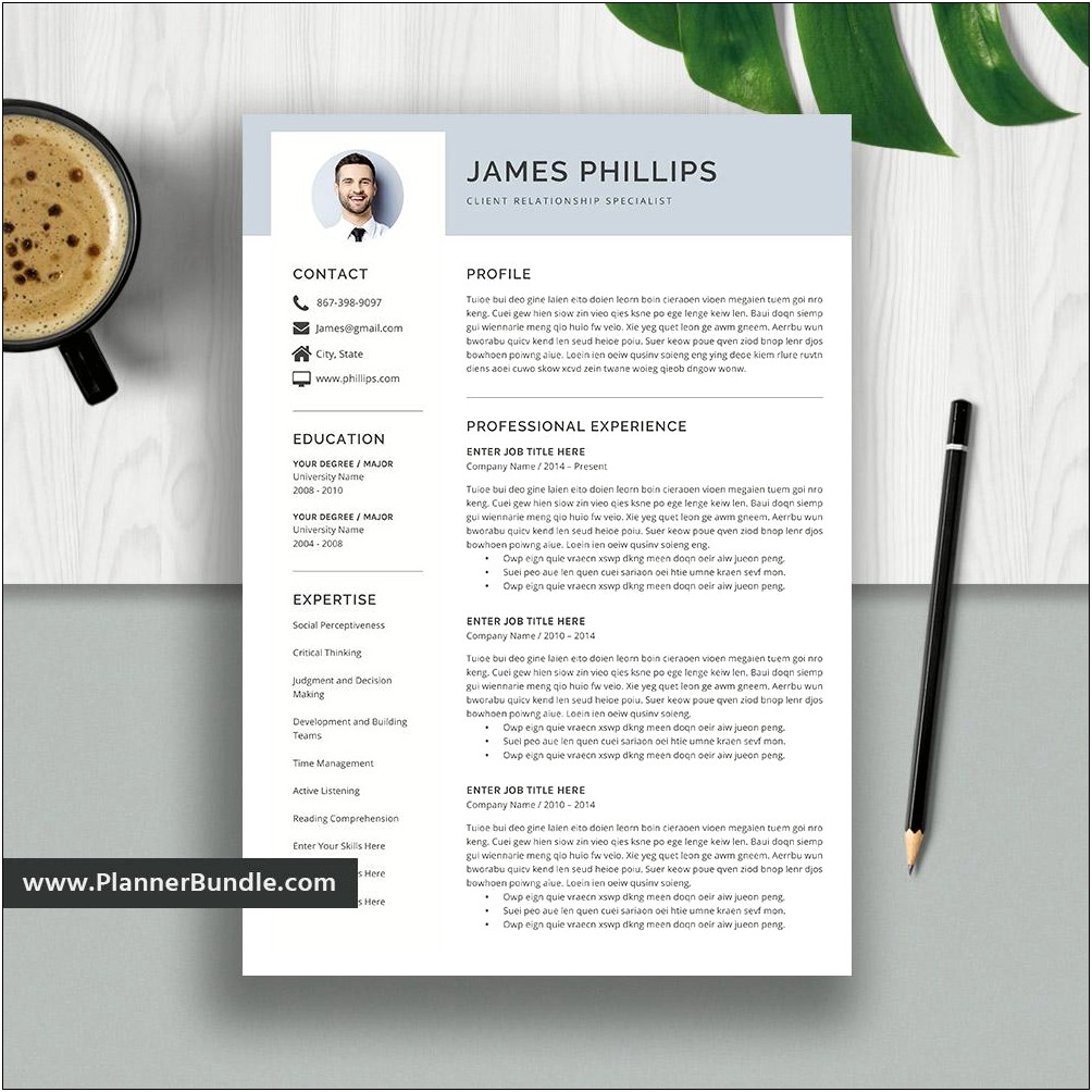 Resume Format Download In Ms Word 2010